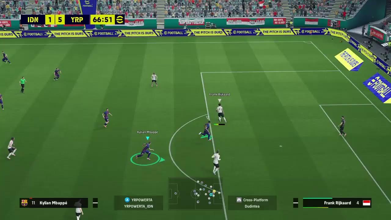 AMATEUR VS EVERYBODY 