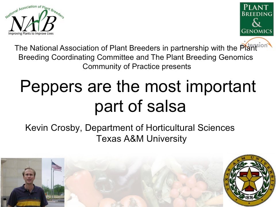 Peppers are the Most Important Part of Salsa Webinar