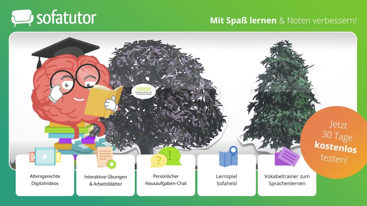 Ökologische Potenz Erklärung – Definition & Beispiele