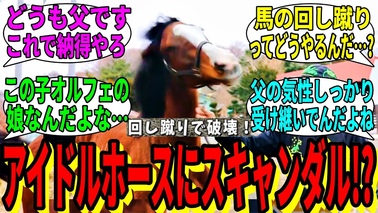 【競馬の反応集】「メロディーレーン回し蹴り馬房破壊事件」に対する視聴者の反応集