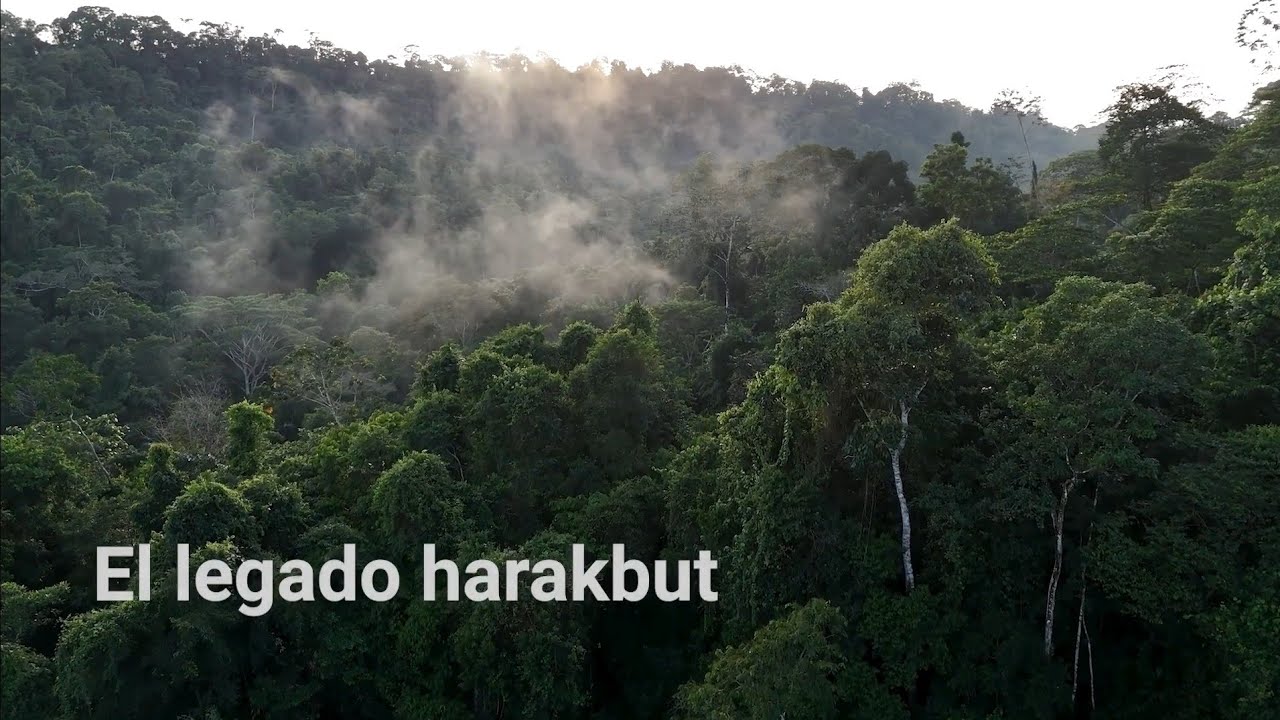 (Corto Documental) Legado Harakbut