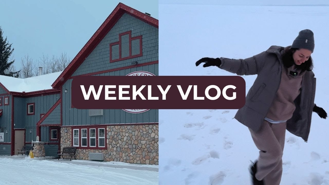 WEEKLY VLOG | weekend trip, slipping on ice and project pan update