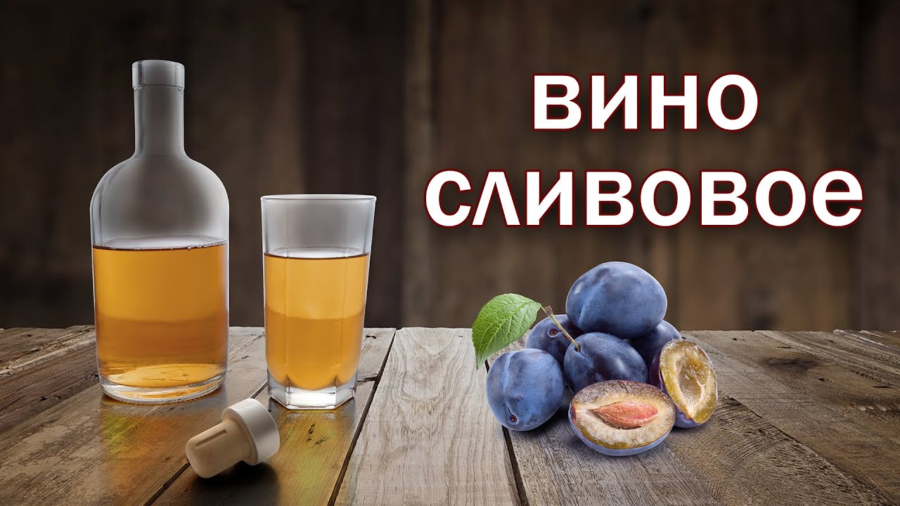 Рецепт вина.  Сливовое вино от канала свой среди своих кулинария
