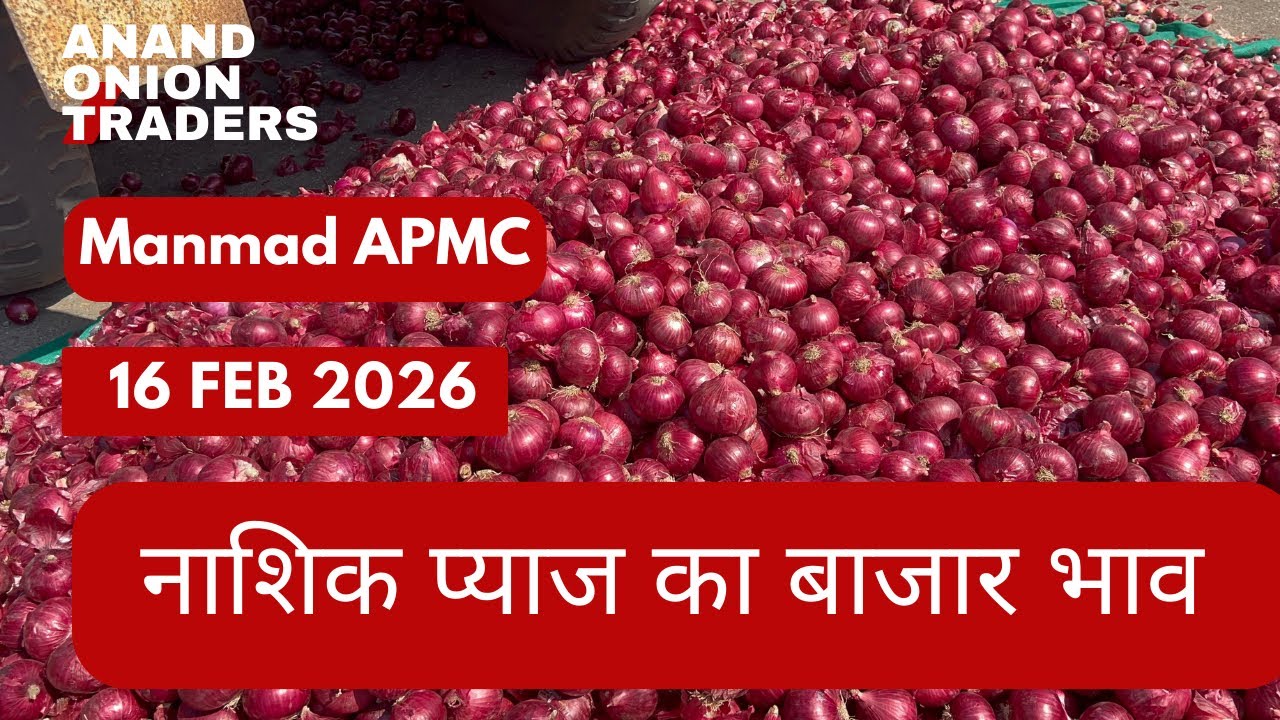 आज का नाशिक प्याज बाजार भाव | Nashik Pyaj Bhav Today | Live Mandi 16 February 2026