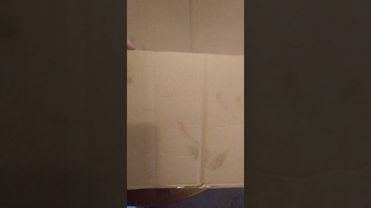 Lamellar scale plate armor unboxing