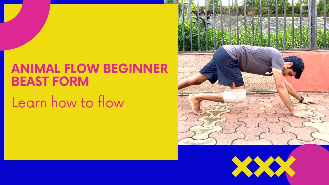 Animal Flow | Beast Form | Beast Stance