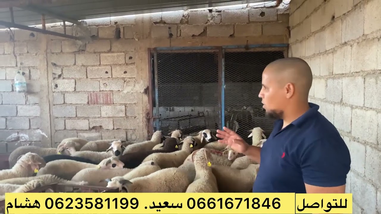 إبتداءاً من 2100 درهم عند ضيعة الخواجة عين عودة