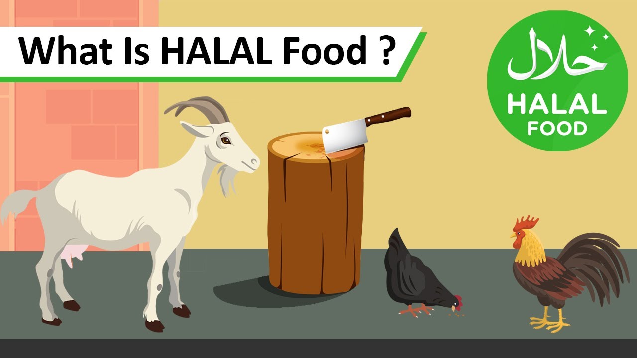 2D Animated Video | What is HALAL ? | Doodle Mango
