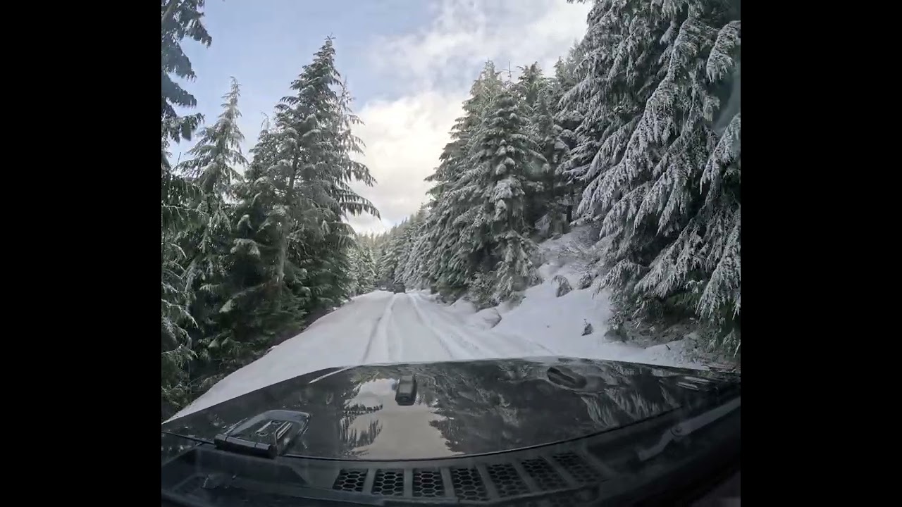Off-road trail 5 corners run, WA