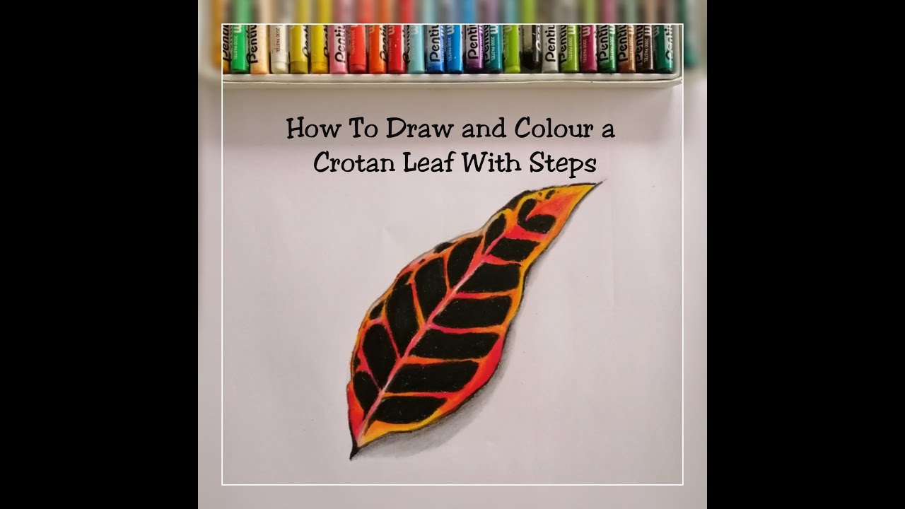 Drawing a Crotan Leaf With Pastels |පැස්ටල් ක්‍රෝටන් කොලයක් | How To Draw #pasteldrawing #pastelart