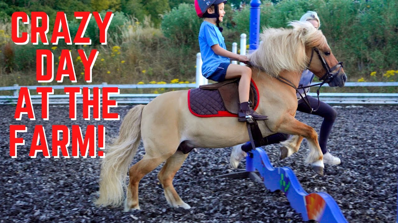 HARLEN'S FIRST JUMP! CRAZY DAY AT THE FARM WITH POPCORN AND CLOUDY
