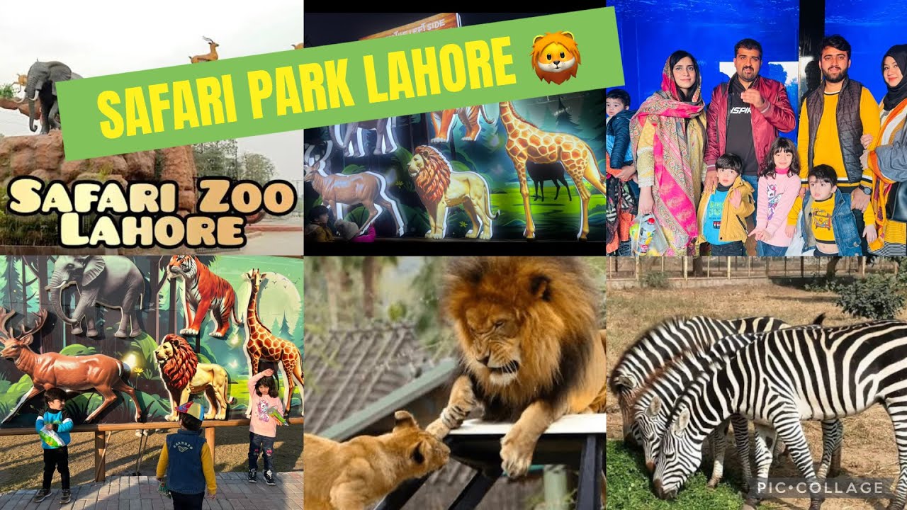 LAHORE SAFARI PARK 🦁|KIDS ENJOYED ALOT| LION WAS THE SHOW STOPPER 😱 #youtube #trending #safari