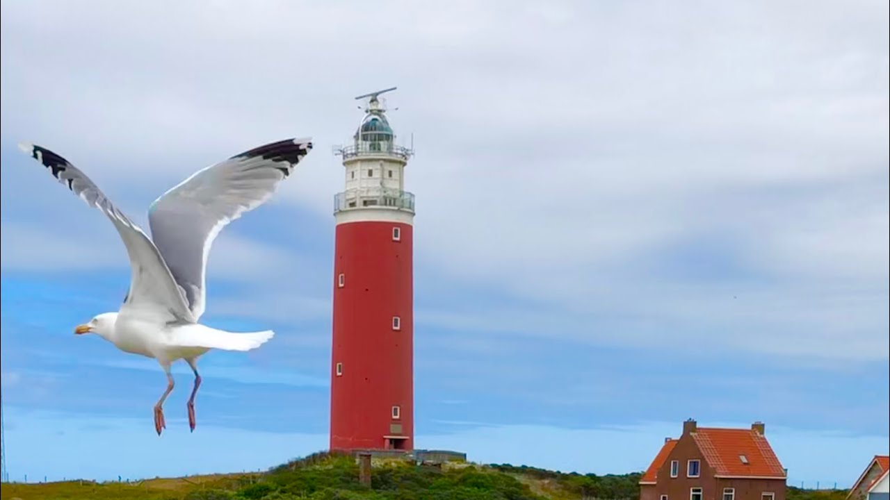 Discover the Island of Texel