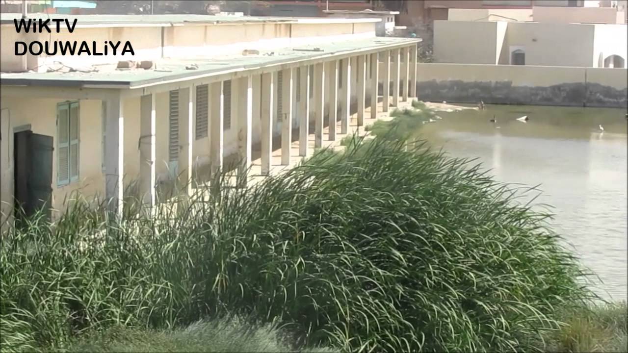 La vid&eacute;o du jour : le triste sort de l'&Eacute;cole 1 du Ksar