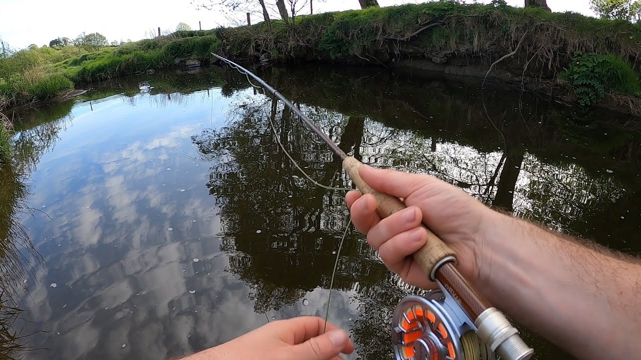 Dry Fly Fishing - River Lagan