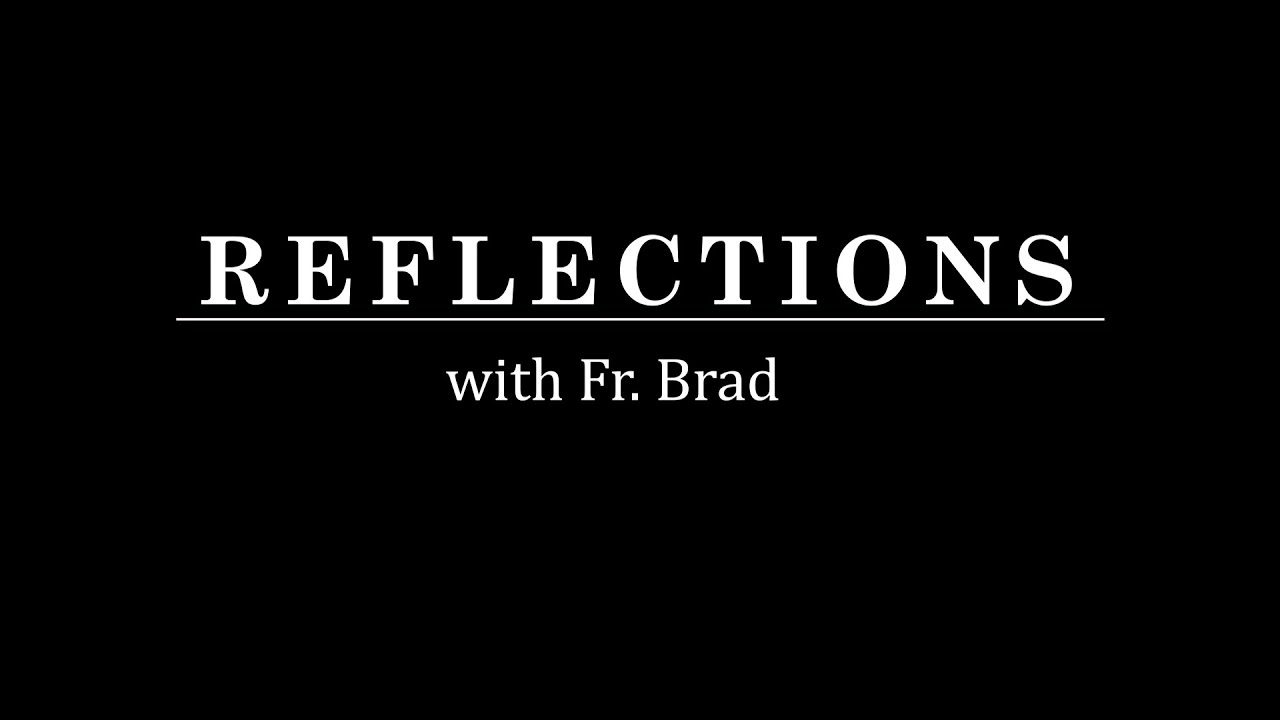 Reflections with Fr. Brad