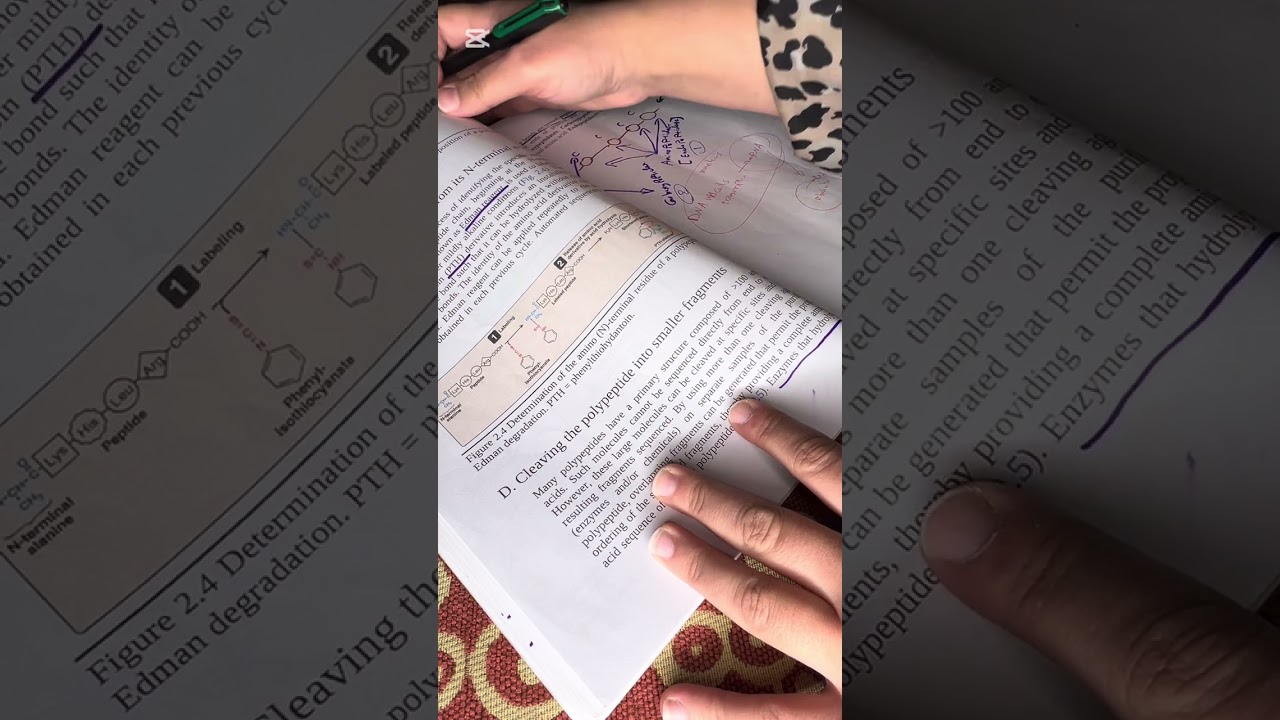 Lippincott biochemistry-protein part-3-