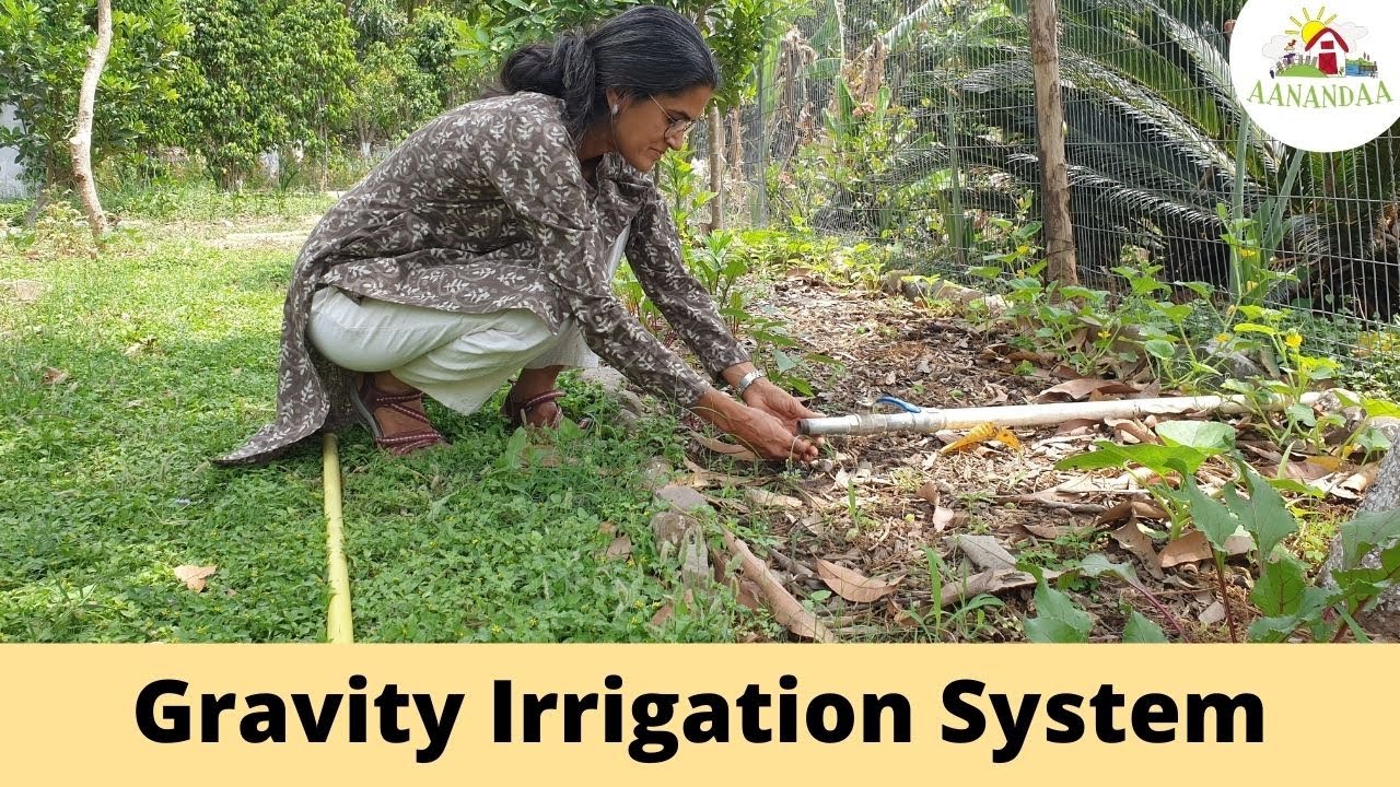 Easy Irrigation for Permaculture Farm