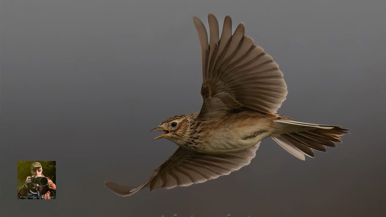 New Nature Reserve Reckki on 
