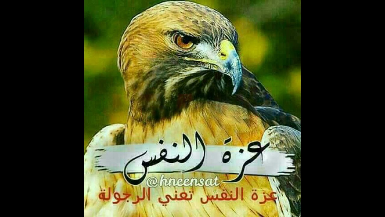 قصيدة الفنان القدير سعيد الصانع كلمات ابو فخر الحليسي