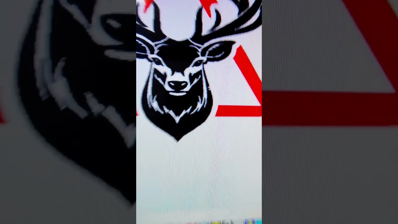 New Back light design stickers splendor 