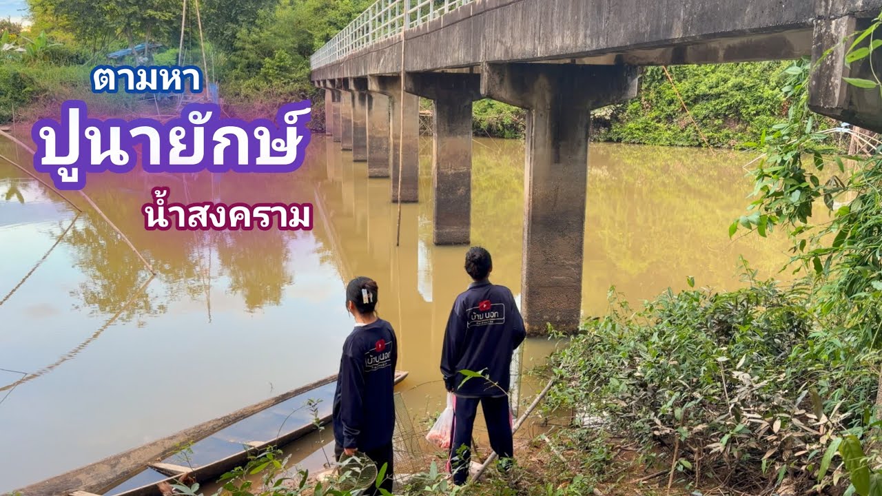 ตามหาปูนายักษ์ ใหญ่กว่าปูนาปกติ 3 เท่า อะไรจะเยอะขนาดนี้ ใส่ลอบปู ในห้วย เข้าเต็มๆ / บ้านนอก EP.962