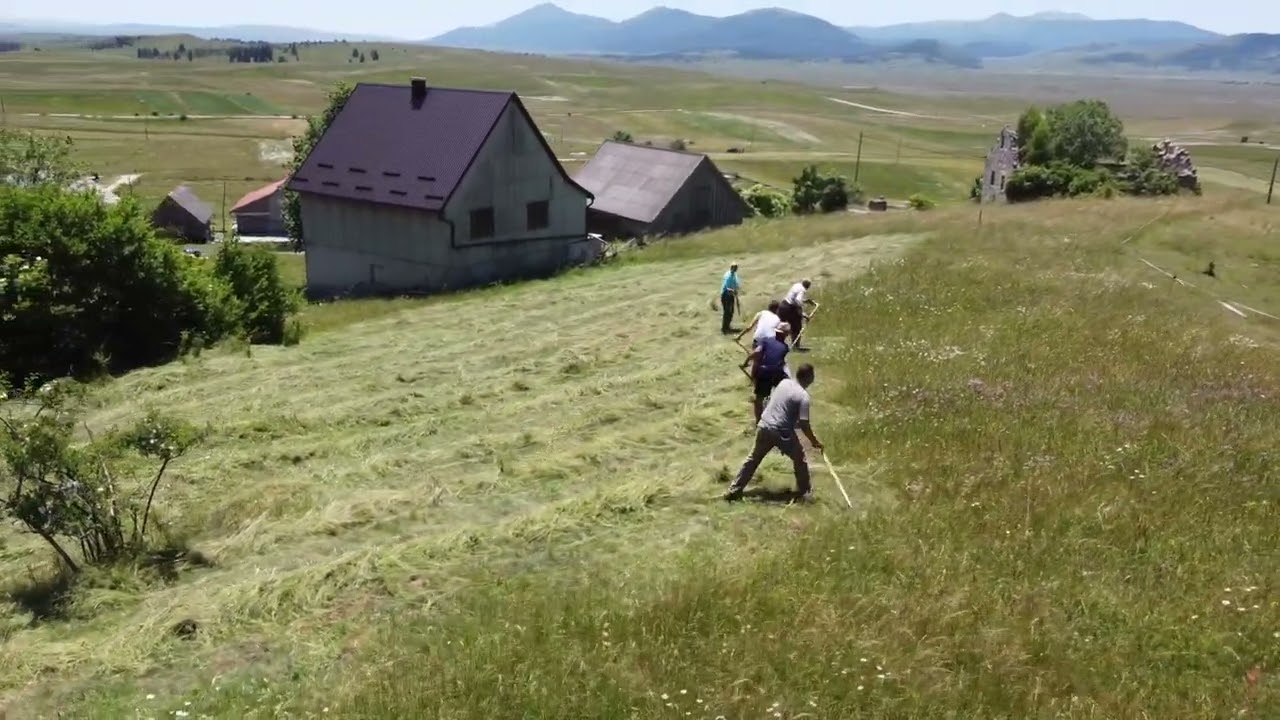 Koševina kod Miloša Matića (Mrđenovci)