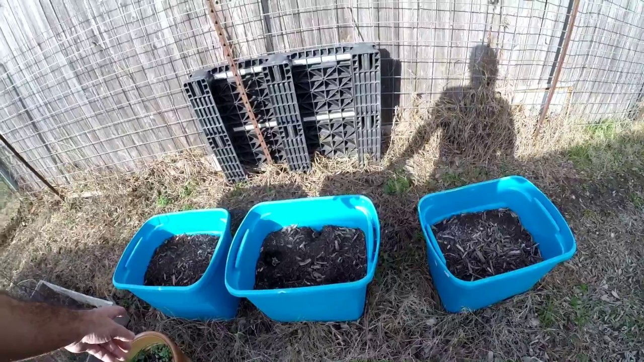 2017 Garden Update #1