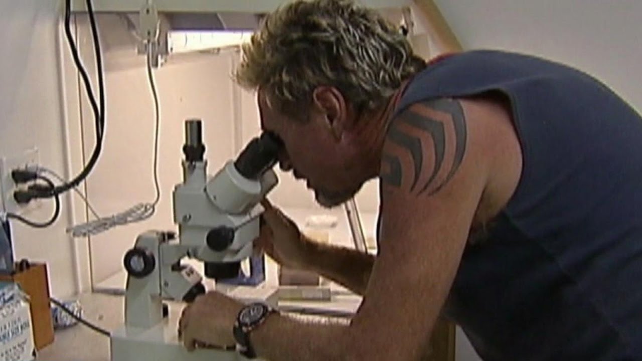 John McAfee's lab in Belize raided on suspicions he was making meth: Part 2