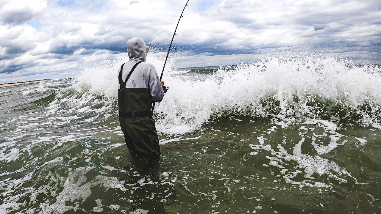 ГИГАНТСКАЯ РЫБА у песчаной отмели FAR Sandbar Cut с бурной рыбалкой с берега на Лонг-Айленд-Бич!