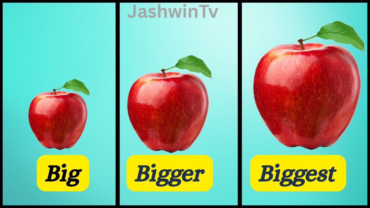 Comparison Big, Bigger, Biggest for kids with examples / compare Different sizes for kids /