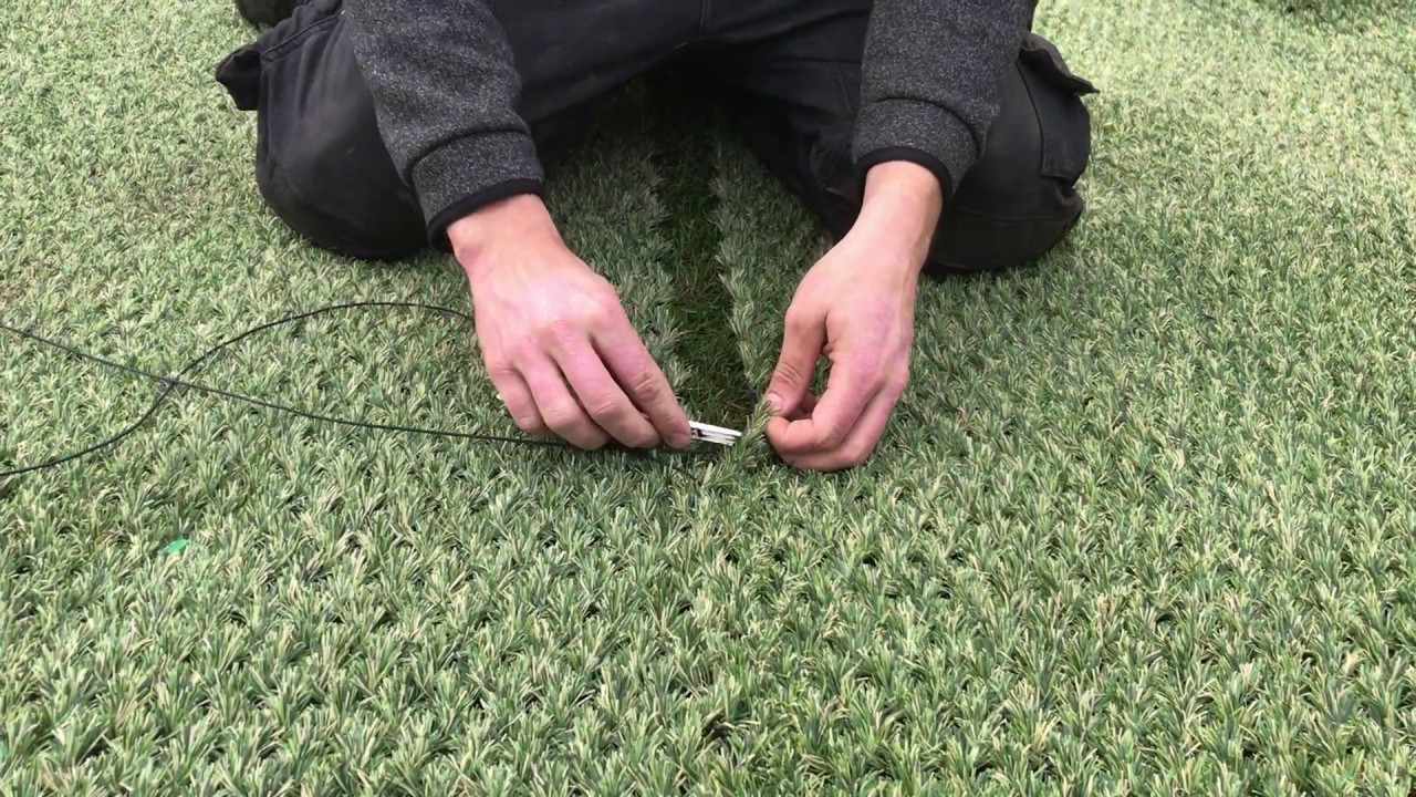 Green Hybrid Installation