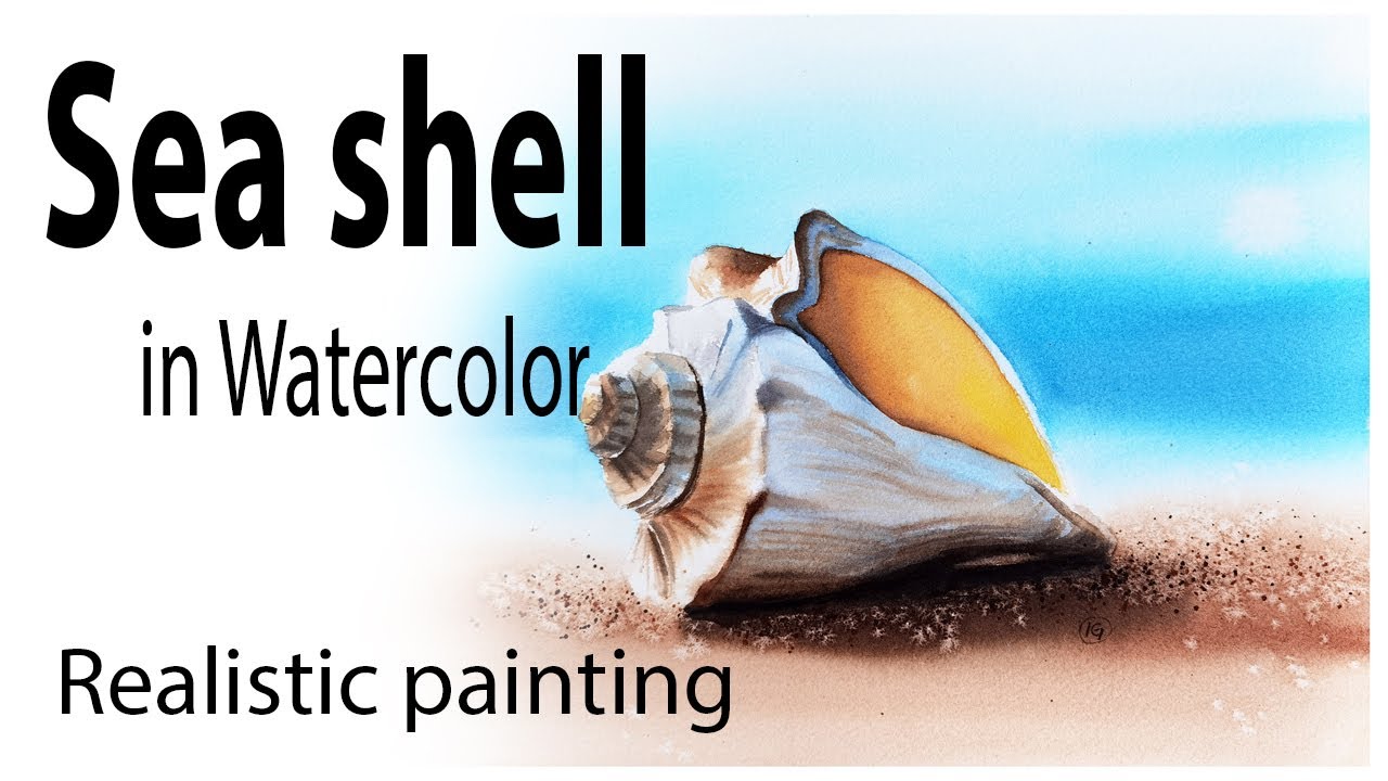 Sea shell in watercolor How to paint realistic in watercolor
