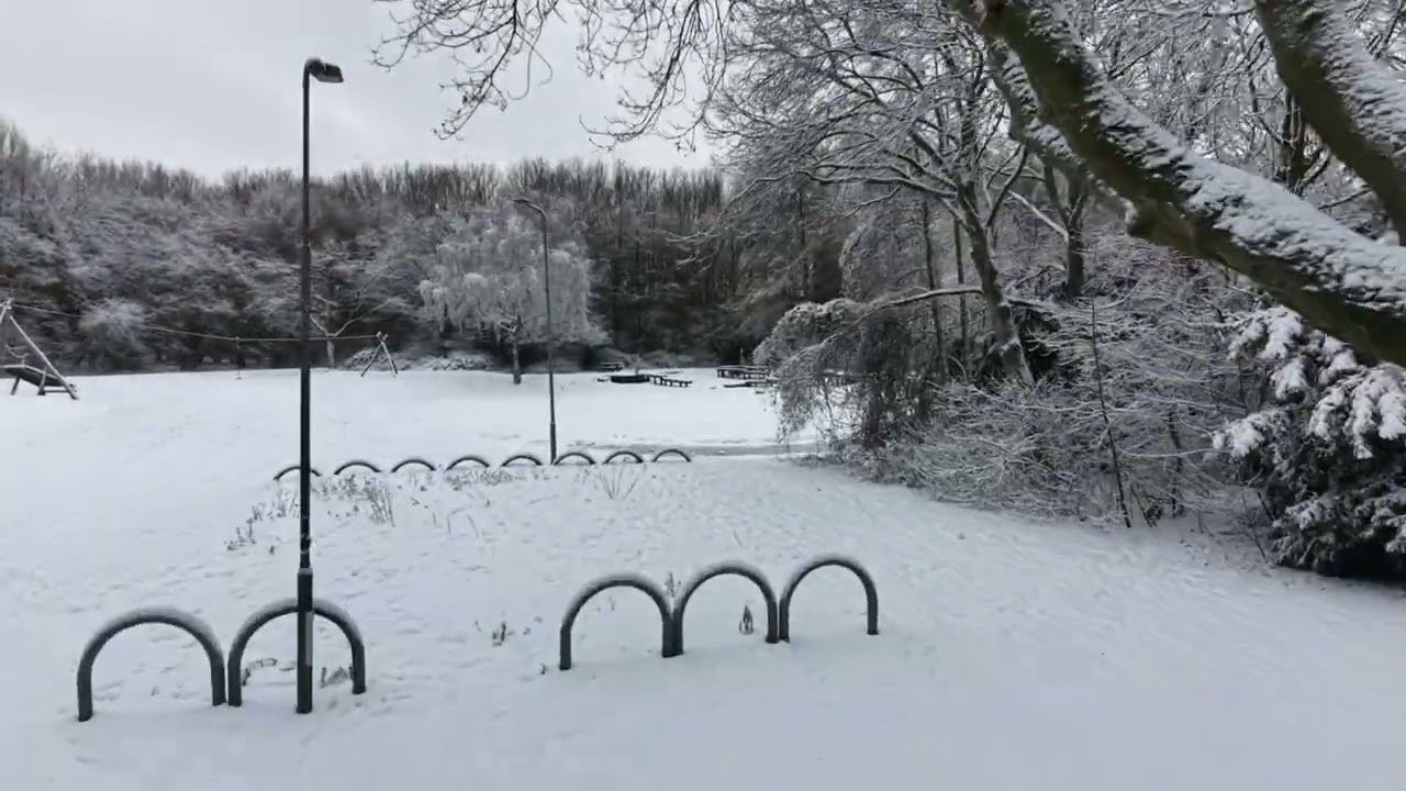 20250107 Weteringpark Winterwonderland (DJI Mini 5 Pro)