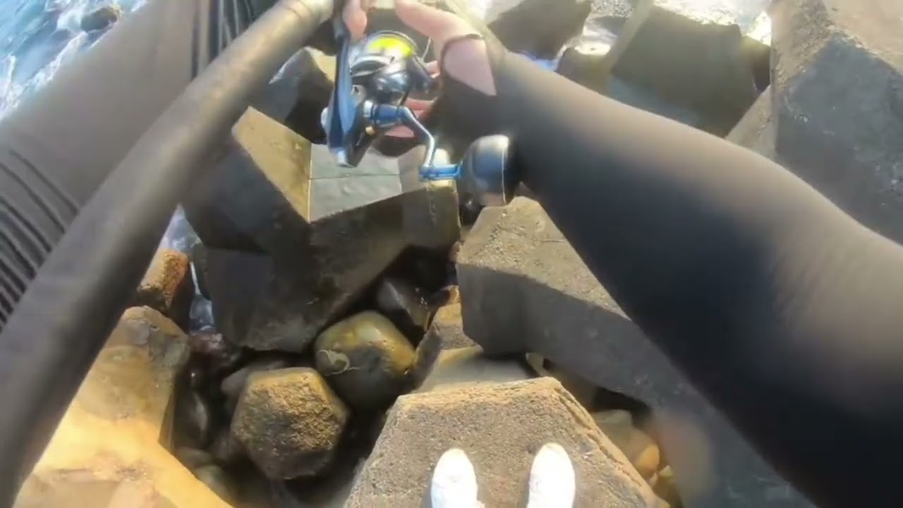 北堤岸拋飛扁,又是沒龜的一天舒服