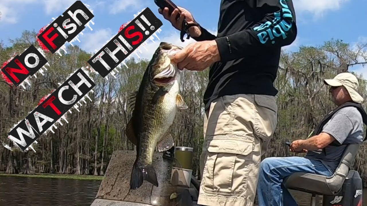 Caddo Lake: How to catch a Bass!!