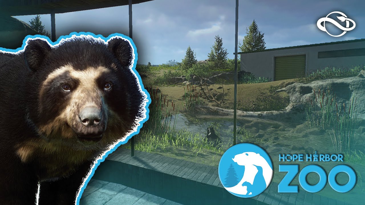 Ande's Off! Andean Bear Habitat Speedbuild! | Hope Harbor Zoo
