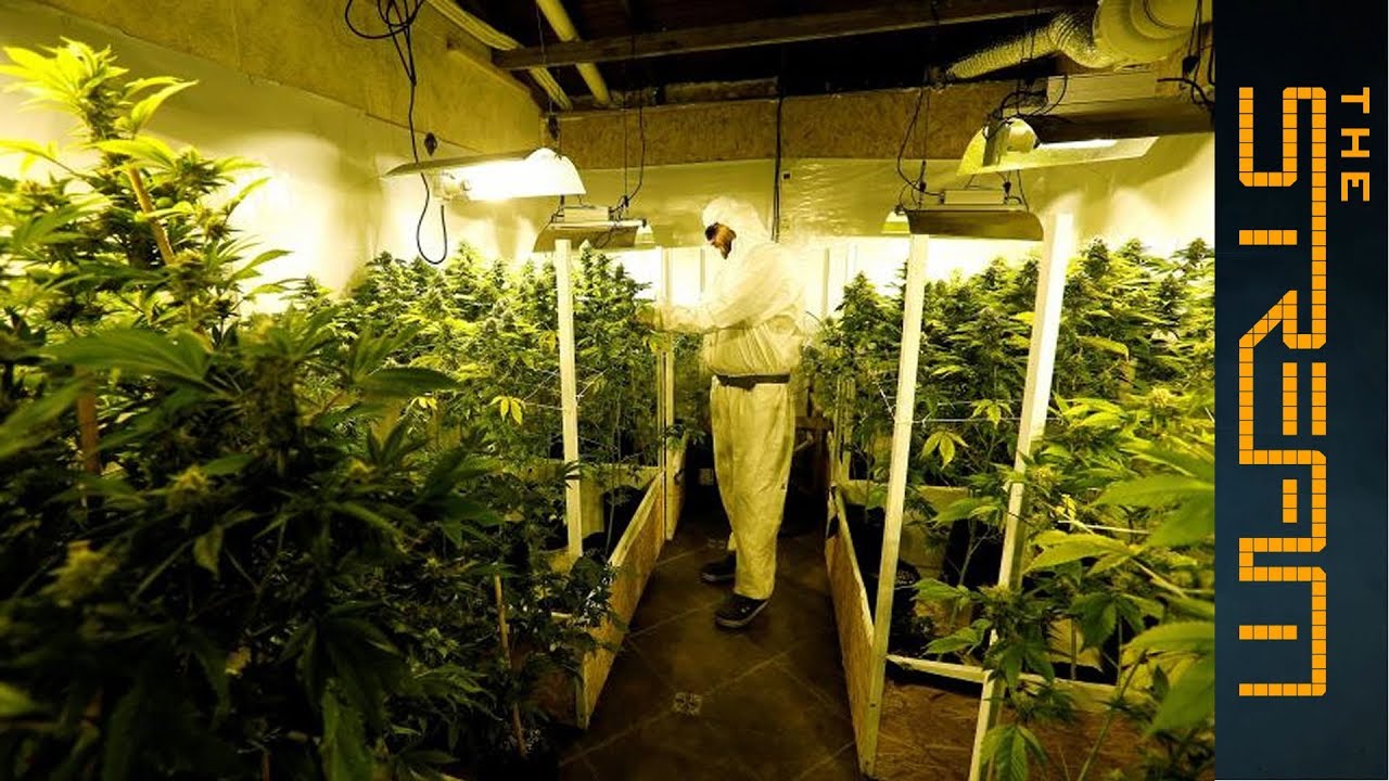 🇺🇾 Can Uruguay's marijuana experiment succeed? | The Stream