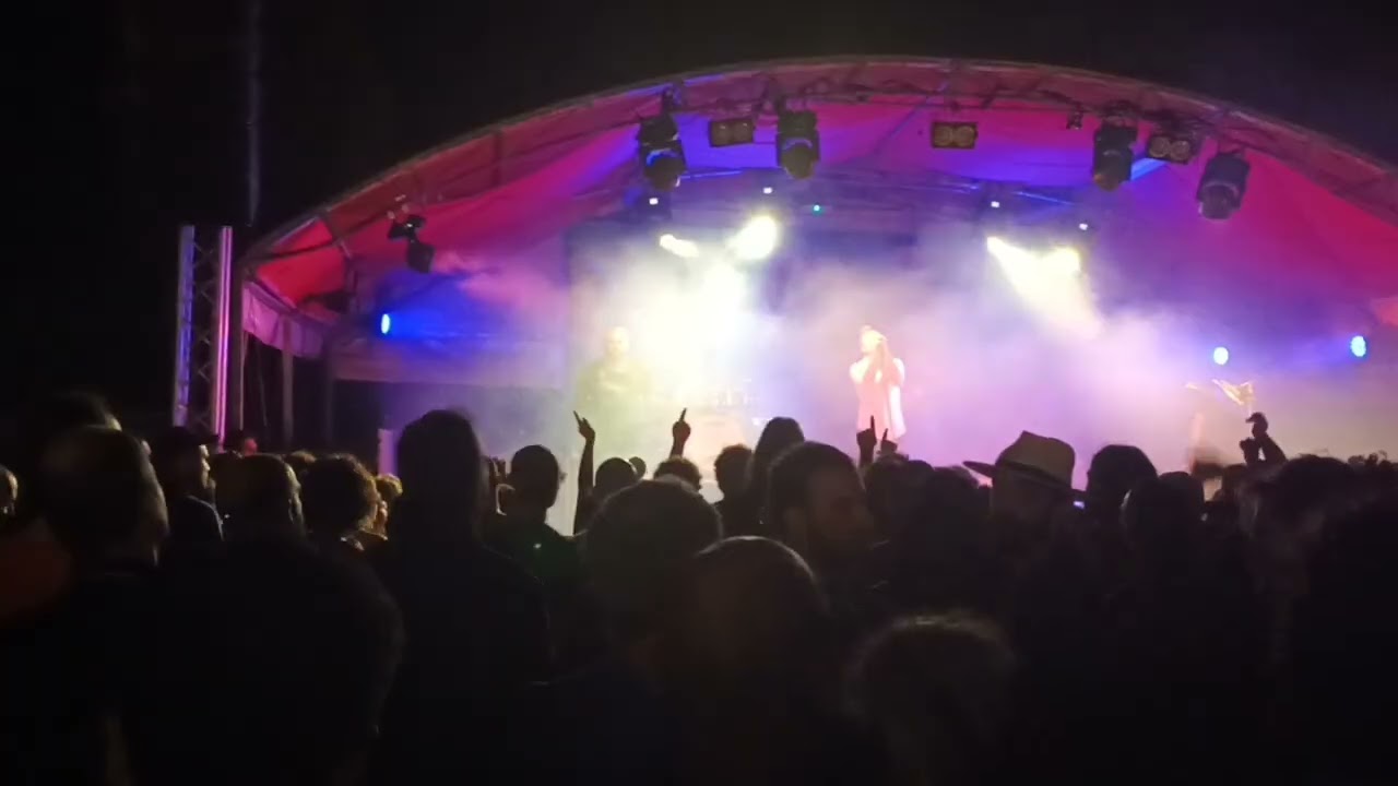MEGANOIDI  -Zeta Reticoli - live Lari 15/8/2025