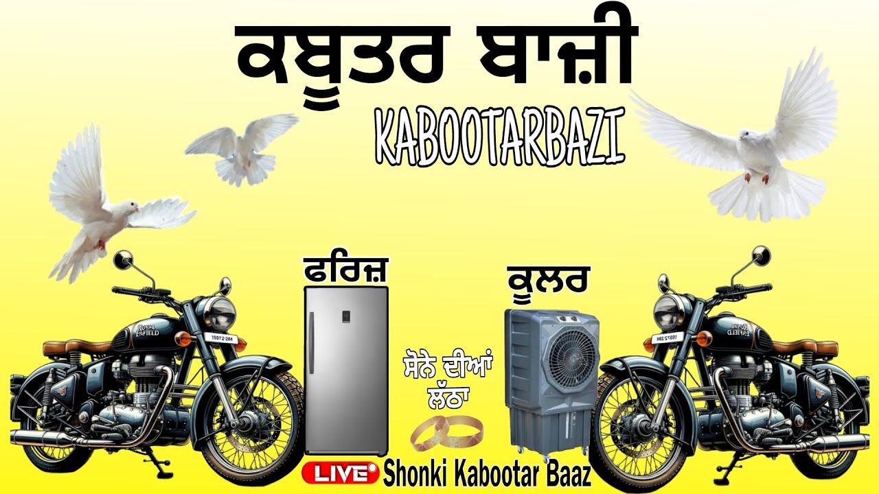 🔴Live🔴Kabootar Bazi Mukabla | live kabootar bazi 2025