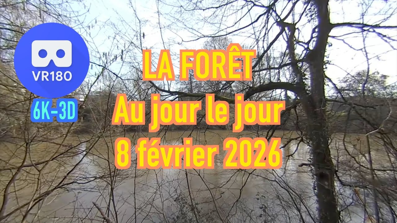 VR180 3D- 6K -LA FORÊT au jour le jour-8 février 2026