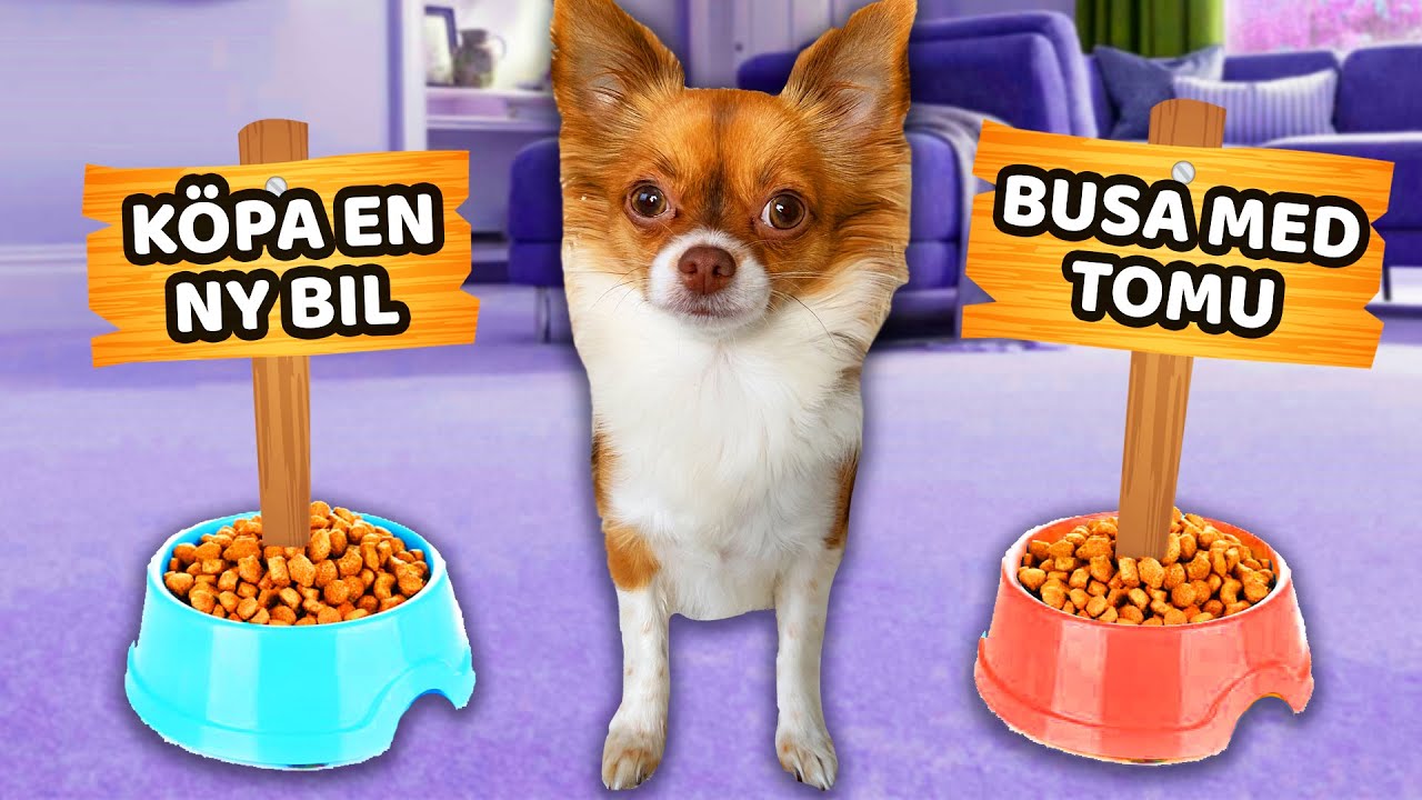 MIN HUND BESTÄMMER MIN DAG!