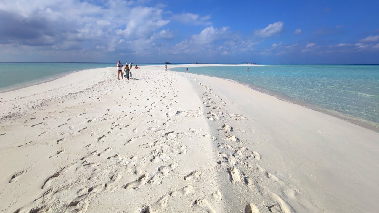 Crociera sub Maldive (gennaio 2022)