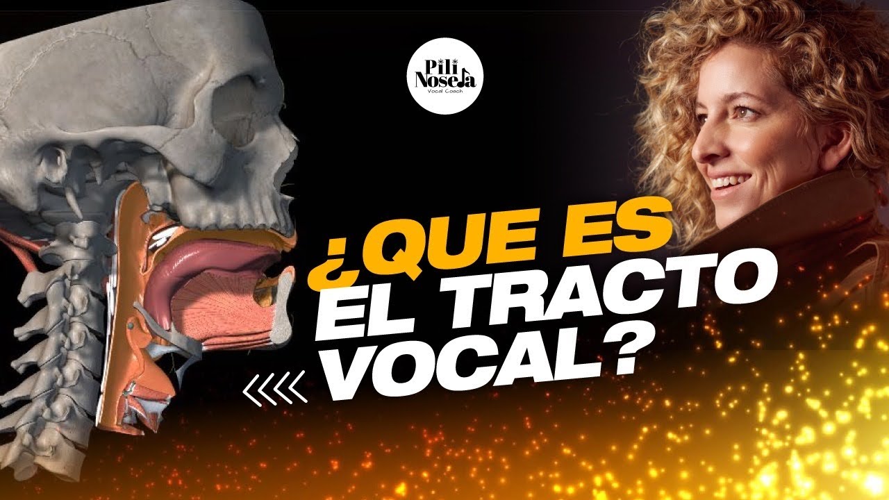 ¿Que es el tracto Vocal?