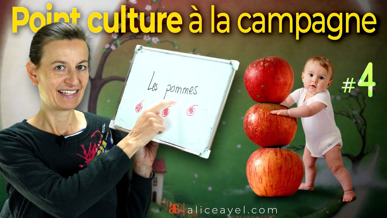 Le point culture #4 Les pommes