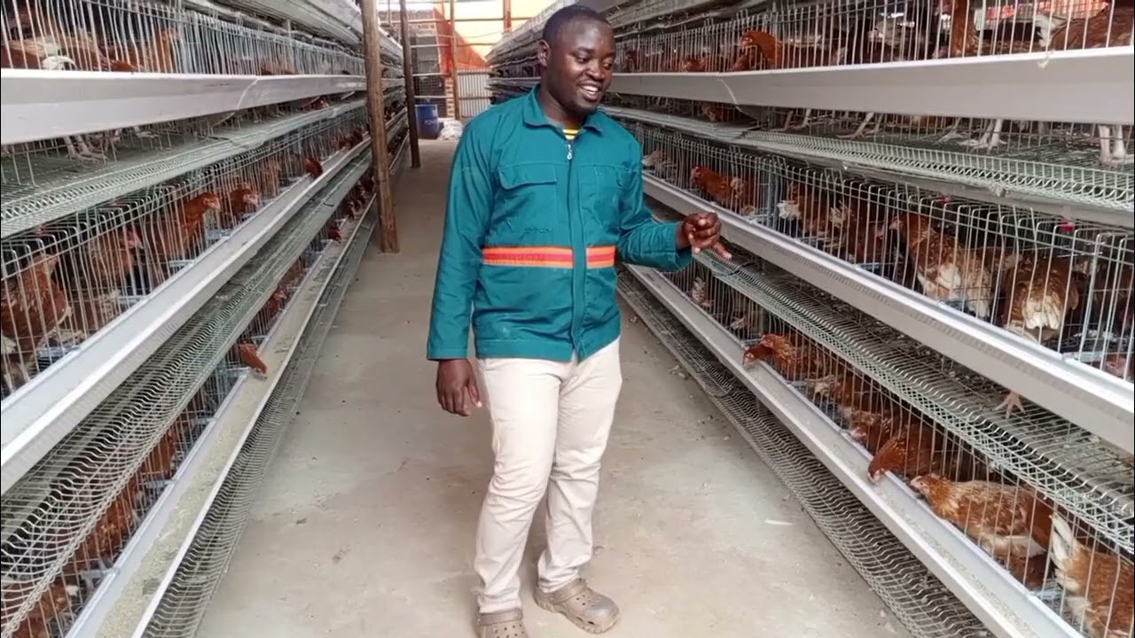 After installation of H type cages (part 3) 