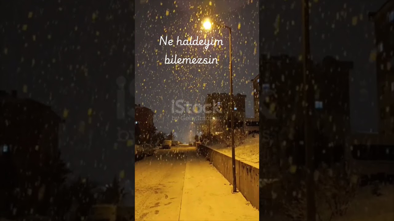 Ne haldeyim bilemezsin 