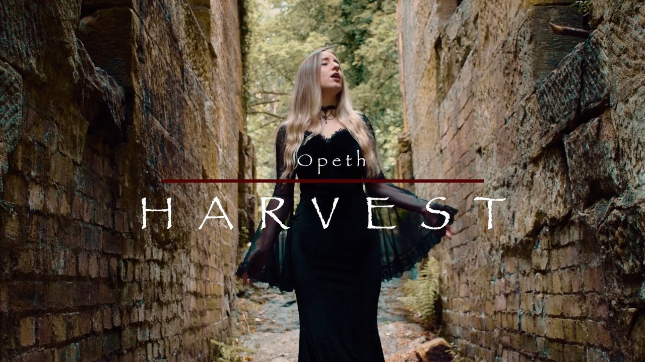 Opeth - Harvest (cover) by @werob_music