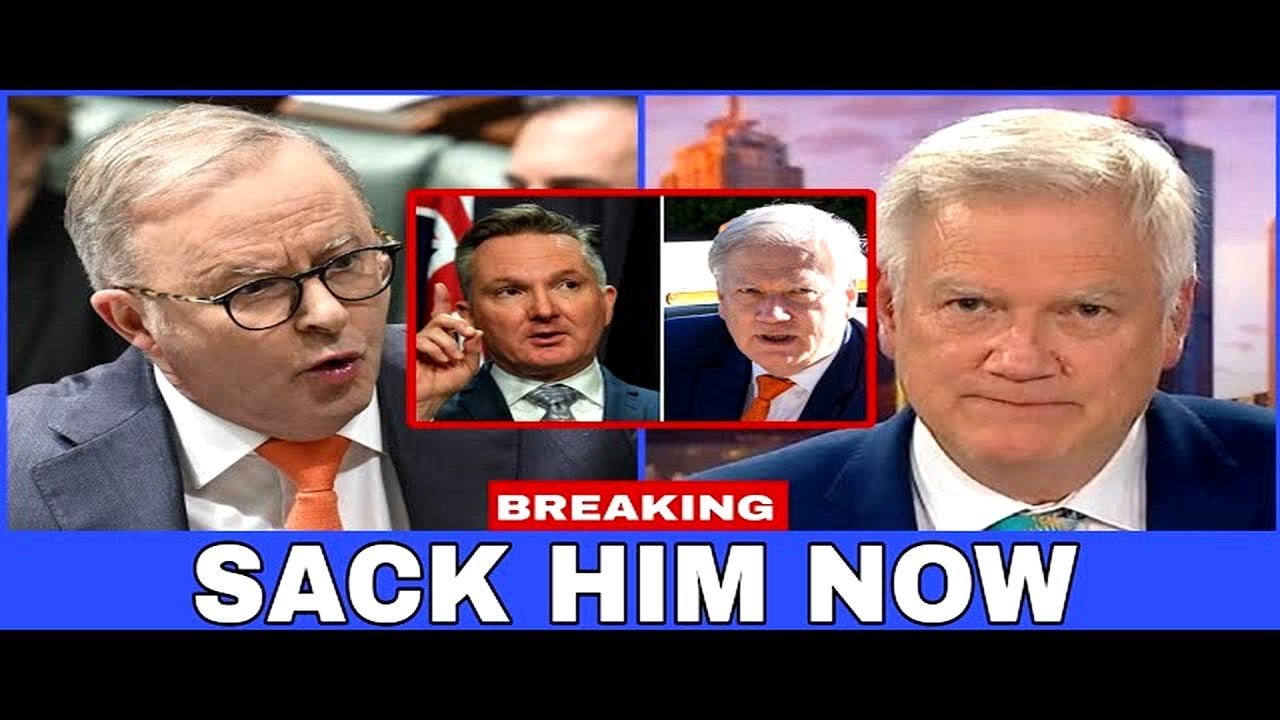 3 MINS AGO! Chris Bowen SHOCKED as Andrew Bolt tells Albanese to sack him on Live TV