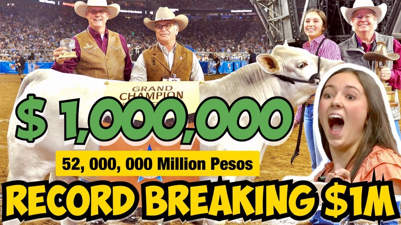 OMG! RECORD BREAKING $1 MILLION JUNIOR MARKET STEER GRAND CHAMPION